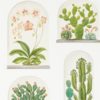 Terrariums 216655